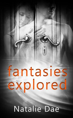 Cover of the book Fantasies Explored: A Box Set: A Box Set by Nadia Aidan