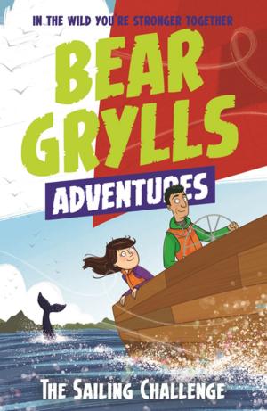 Book cover of A Bear Grylls Adventure 12: The Sailing Challenge