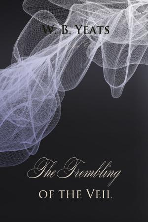 Cover of the book The Trembling of the Veil by Metin Cengiz