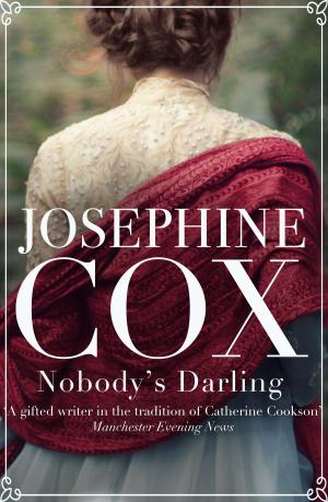 Book cover of Nobody’s Darling