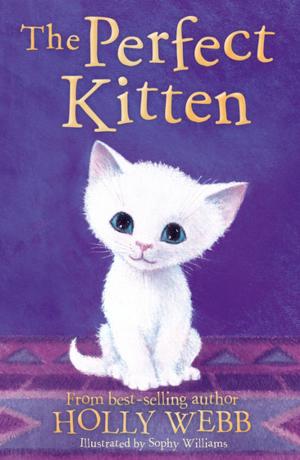 Book cover of The Perfect Kitten