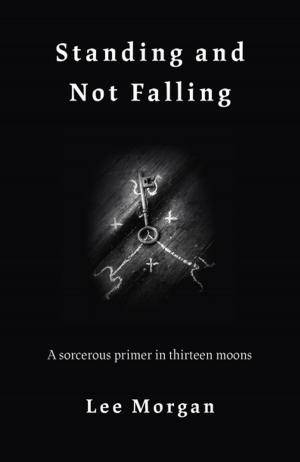Cover of the book Standing and Not Falling by Moshe Daniel Block