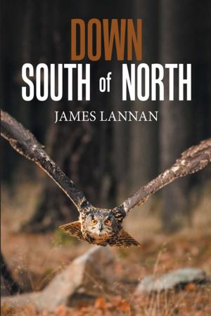 Cover of the book Down South of North by Jerry Witkovsky
