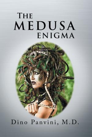 Cover of the book The Medusa Enigma by Emmanuel Perotti