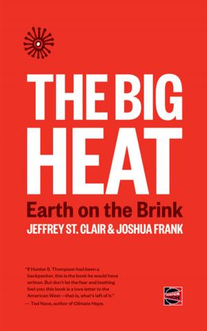 Cover of the book The Big Heat by Kevin Alexander Gray, Kathy Kelly, Ralph Nader