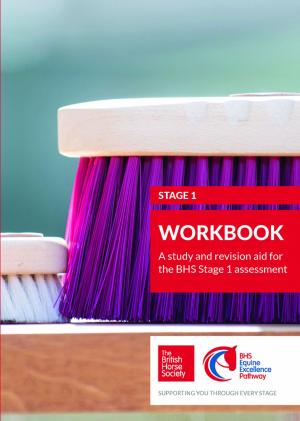 Cover of the book BHS Stage 1 Workbook by Arthur Kottas-Heldenberg