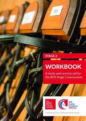 Cover of the book BHS Stage 2 Workbook by Ellen F. Feld