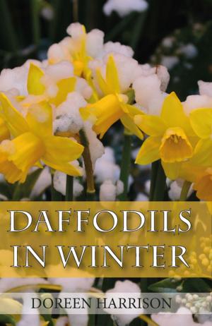 Cover of the book Daffodils in Winter by Mathew Bartlett, Derek Williams