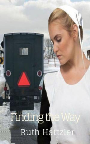 bigCover of the book Finding the Way by 