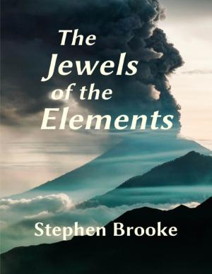 Cover of the book The Jewels of the Elements by Stephen Brooke