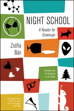 Cover of the book Night School by Sergio Chejfec