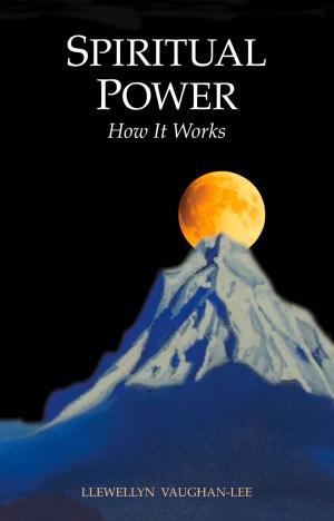 Cover of the book Spiritual Power by Llewellyn Vaughan-Lee, PhD