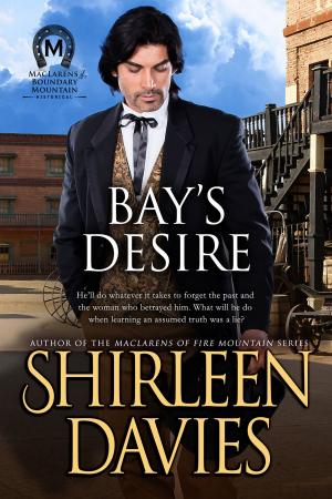 bigCover of the book Bay's Desire by 