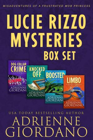 Cover of the book The Lucie Rizzo Mystery Series Box Set 1 by Jennifer Fischetto