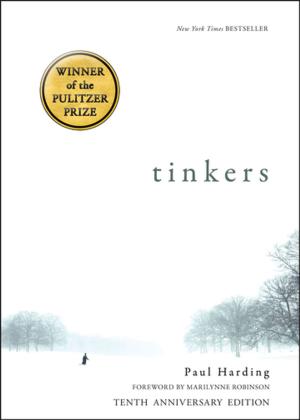 Book cover of Tinkers