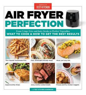 Cover of the book Air Fryer Perfection by 