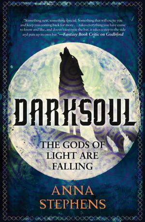 Book cover of Darksoul