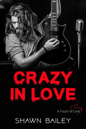Cover of the book Crazy In Love by LL Brooks