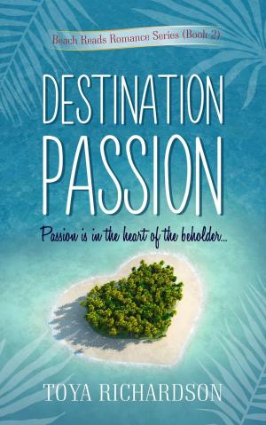 Cover of the book Destination Passion by Rebecca Winters