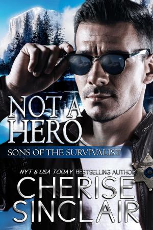 Cover of the book Not a Hero by Cherise Sinclair