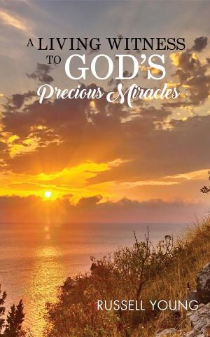 Cover of the book A Living Witness to God's Precious Miracles by David Marr