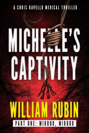Book cover of Michelle's Captivity Part One: Mirror, Mirror