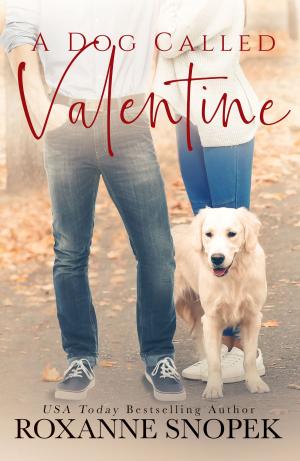 Cover of the book A Dog Called Valentine by Eve Gaddy