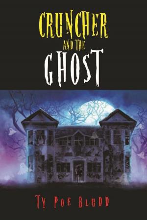 Cover of the book Cruncher And The Ghost by Geoff Hindmarsh