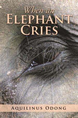 Cover of the book When an Elephant Cries by Edith Velmans