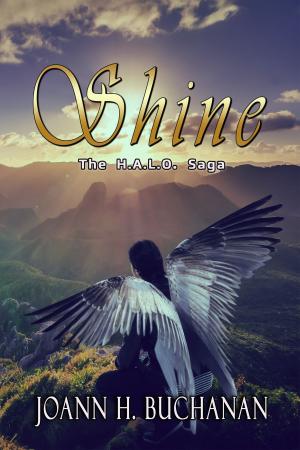Cover of the book Shine by Kathi S. Barton