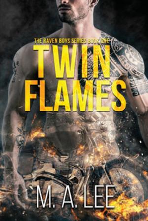 Cover of the book Twin Flames by M. A. Lee