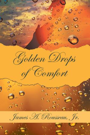 Cover of the book Golden Drops of Comfort by Hannah Goldstein Ford