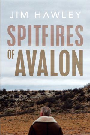 Cover of the book Spitfires of Avalon by Fiona Donovan