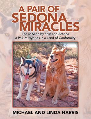 Cover of the book A Pair of Sedona Miracles by Renita Menyhert