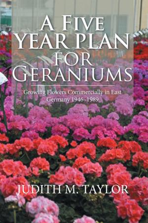 Cover of the book A Five Year Plan for Geraniums by Vera Rossano Gaudiani