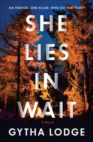 bigCover of the book She Lies in Wait by 