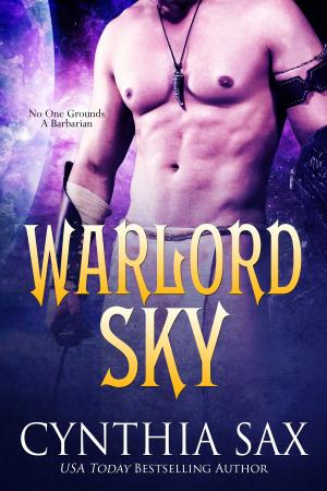 Cover of the book Warlord Sky by Cynthia Sax