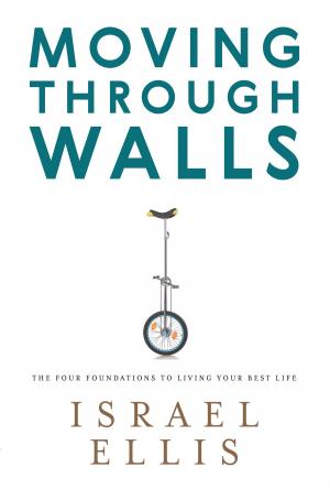 Cover of the book Moving Through Walls by Kristianne Hopkins