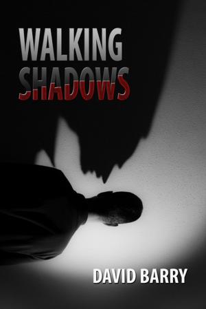 Cover of the book Walking Shadows by Brenda Cheers