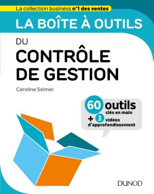 Cover of the book La boîte à outils du Contrôle de gestion by Xavier Delengaigne, Patrick Neveu, Carolina Vincenzoni, Franco Masucci