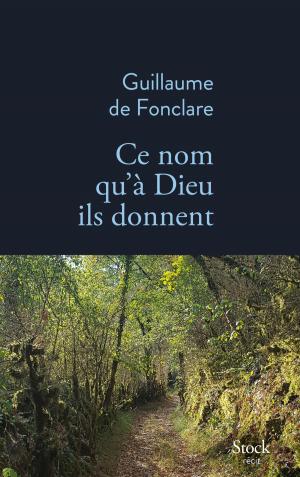Cover of the book Ce nom qu'à Dieu ils donnent by Nina Bouraoui