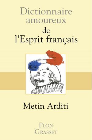 Cover of the book Dictionnaire amoureux de l'esprit français by Dominique LAGARDE