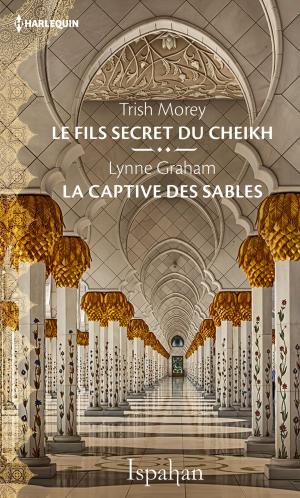 Cover of the book Le fils secret du cheikh - La captive des sables by Emma Darcy