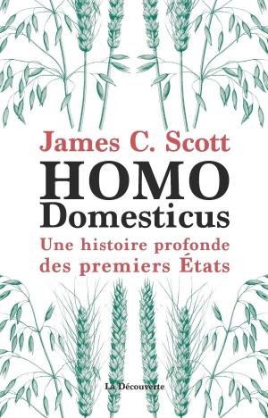 Book cover of Homo Domesticus