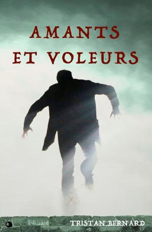 Cover of the book Amants et Voleurs by Allan Kardec