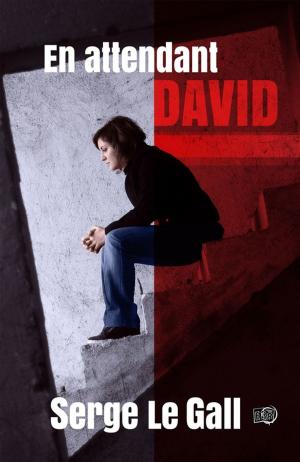 Cover of the book En attendant David by Béatrice Égémar