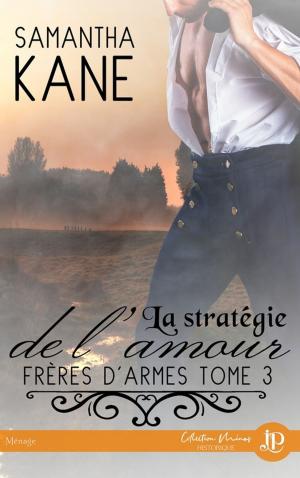 Cover of the book La stratégie de l'amour by Aurore Doignies