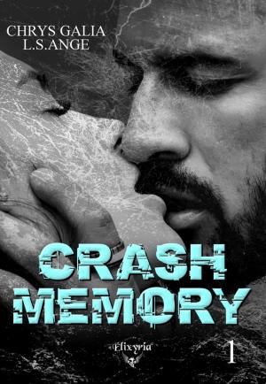 Cover of the book Crash memory by L.S.Ange
