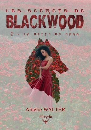 Cover of the book Les secrets de Blackwood by Miss Hl'S