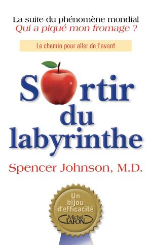Cover of the book Sortir du labyrinthe by Nora Roberts